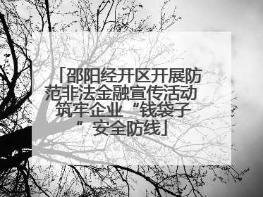 邵阳经开区开展防范非法金融宣传活动 筑牢企业“钱袋子”安全防线