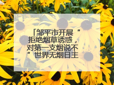 邹平市开展“拒绝烟草诱惑，对第一支烟说不”世界无烟日主题宣传活动