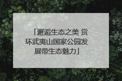 邂逅生态之美 赏环武夷山国家公园发展带生态魅力
