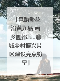 邑路繁花 沿黄九品 画乡鲤都……聊城乡村振兴片区建设亮点纷呈