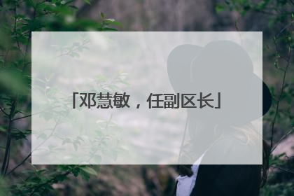 邓慧敏，任副区长