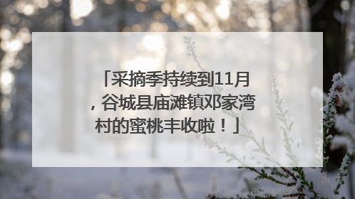 采摘季持续到11月，谷城县庙滩镇邓家湾村的蜜桃丰收啦！