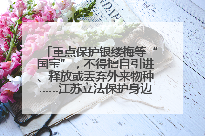 重点保护银缕梅等“国宝”，不得擅自引进、释放或丢弃外来物种……江苏立法保护身边的生物“朋友圈”