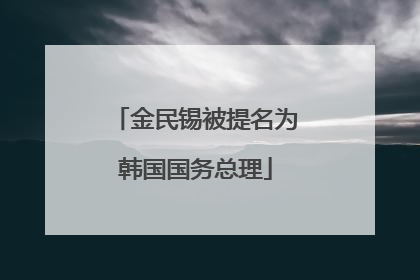 金民锡被提名为韩国国务总理