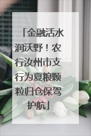 金融活水润沃野！农行汝州市支行为夏粮颗粒归仓保驾护航