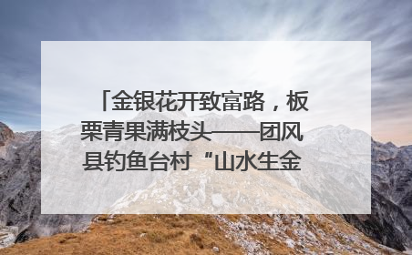 金银花开致富路，板栗青果满枝头——团风县钓鱼台村“山水生金”谱写共富新篇章