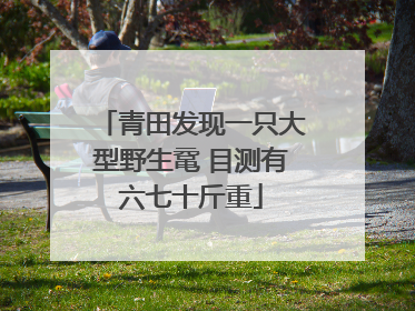青田发现一只大型野生鼋 目测有六七十斤重