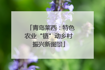 青岛莱西：特色农业“链”动乡村振兴新图景