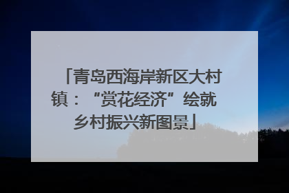 青岛西海岸新区大村镇：“赏花经济”绘就乡村振兴新图景