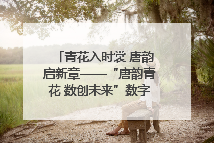 青花入时裳 唐韵启新章——“唐韵青花 数创未来”数字文创设计大赛启幕