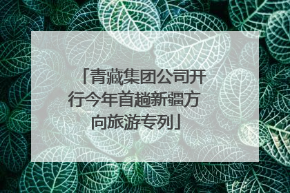 青藏集团公司开行今年首趟新疆方向旅游专列