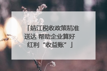 靖江税收政策精准送达 帮助企业算好红利“收益账”