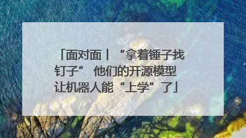 面对面丨“拿着锤子找钉子” 他们的开源模型让机器人能“上学”了