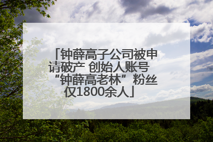 钟薛高子公司被申请破产 创始人账号“钟薛高老林”粉丝仅1800余人