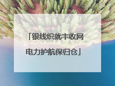 银线织就丰收网 电力护航保归仓