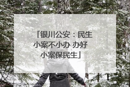 银川公安：民生小案不小办 办好小案保民生