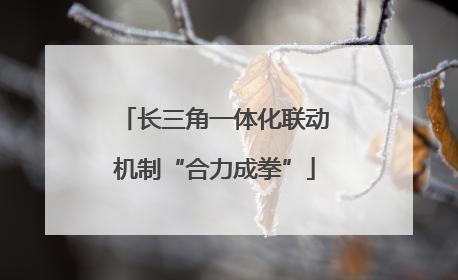 长三角一体化联动机制“合力成拳”