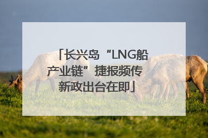 长兴岛“LNG船产业链”捷报频传 新政出台在即