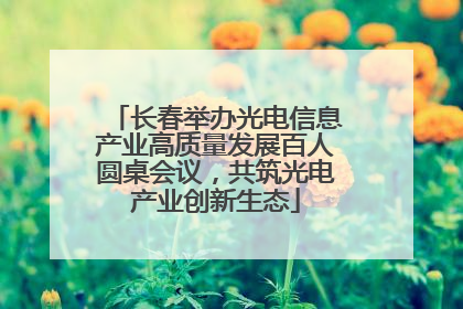 长春举办光电信息产业高质量发展百人圆桌会议，共筑光电产业创新生态
