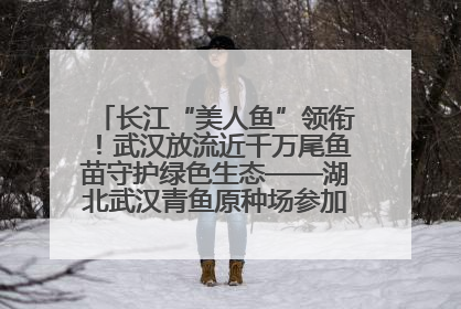 长江“美人鱼”领衔！武汉放流近千万尾鱼苗守护绿色生态——湖北武汉青鱼原种场参加2025年“全国放鱼日”增殖放流活动