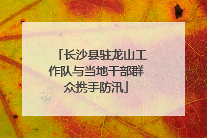 长沙县驻龙山工作队与当地干部群众携手防汛