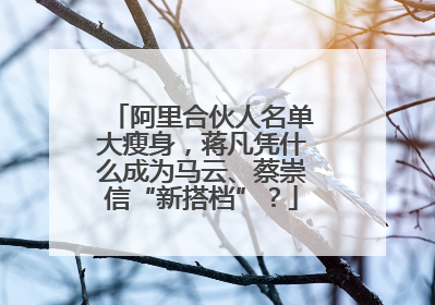 阿里合伙人名单大瘦身，蒋凡凭什么成为马云、蔡崇信“新搭档”？