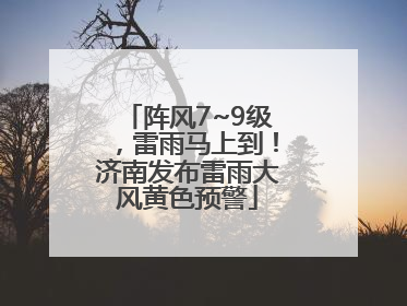 阵风7~9级，雷雨马上到！济南发布雷雨大风黄色预警