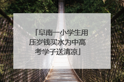 阜南一小学生用压岁钱买水为中高考学子送清凉