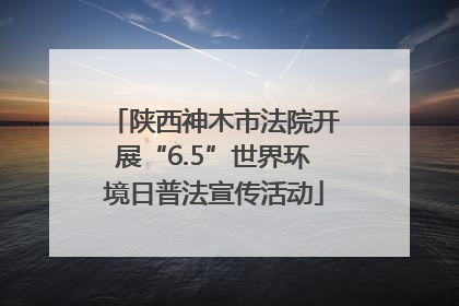 陕西神木市法院开展“6.5”世界环境日普法宣传活动