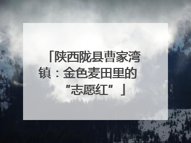 陕西陇县曹家湾镇：金色麦田里的“志愿红”