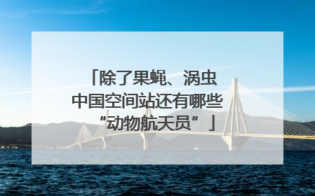 除了果蝇、涡虫 中国空间站还有哪些“动物航天员”