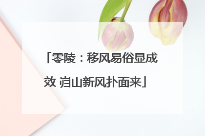 零陵：移风易俗显成效 岿山新风扑面来