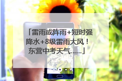 雷雨或阵雨+短时强降水+8级雷雨大风！东营中考天气……