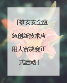 雄安安全应急创新技术应用大赛决赛正式启动