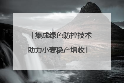 集成绿色防控技术助力小麦稳产增收