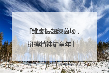 雏鹰振翅绿茵场，拼搏精神耀童年