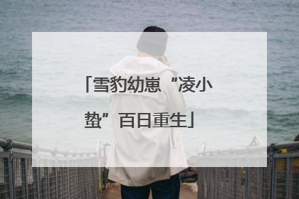 雪豹幼崽“凌小蛰”百日重生