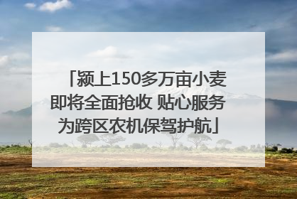 颍上150多万亩小麦即将全面抢收 贴心服务为跨区农机保驾护航