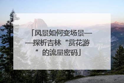 风景如何变场景——探析吉林“赏花游”的流量密码