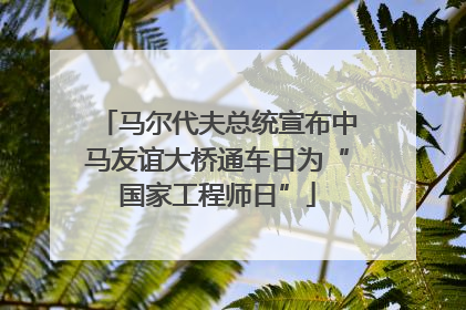 马尔代夫总统宣布中马友谊大桥通车日为“国家工程师日”
