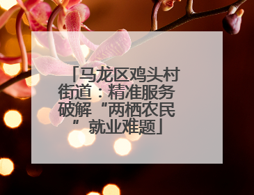 马龙区鸡头村街道：精准服务破解“两栖农民”就业难题