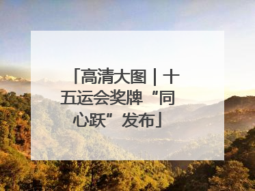 高清大图｜十五运会奖牌“同心跃”发布