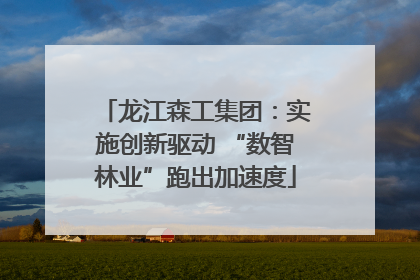 龙江森工集团：实施创新驱动 “数智林业”跑出加速度
