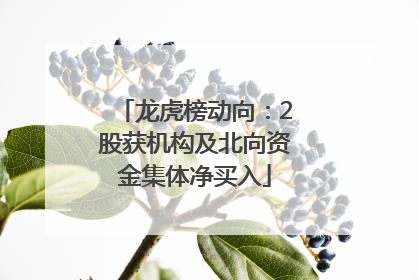 龙虎榜动向：2股获机构及北向资金集体净买入