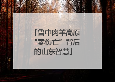 鲁中肉羊高原“零伤亡”背后的山东智慧