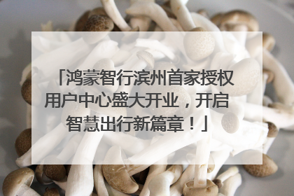 鸿蒙智行滨州首家授权用户中心盛大开业，开启智慧出行新篇章！