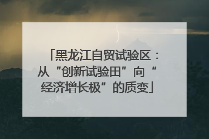 黑龙江自贸试验区：从“创新试验田”向“经济增长极”的质变