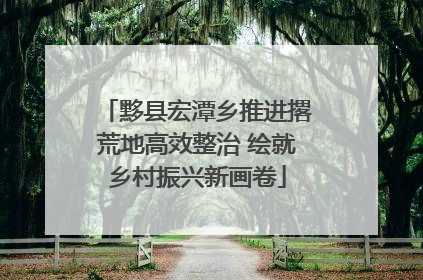 黟县宏潭乡推进撂荒地高效整治 绘就乡村振兴新画卷