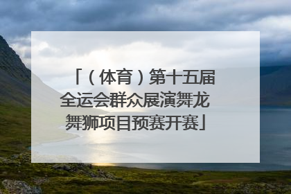 （体育）第十五届全运会群众展演舞龙舞狮项目预赛开赛