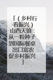 （乡村行·看振兴）山西天镇：从一粒种子到国际餐桌 出口富农促乡村振兴